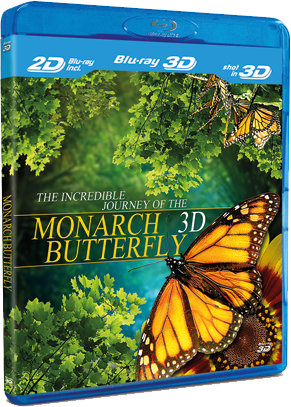 Schmetterlinge 3D